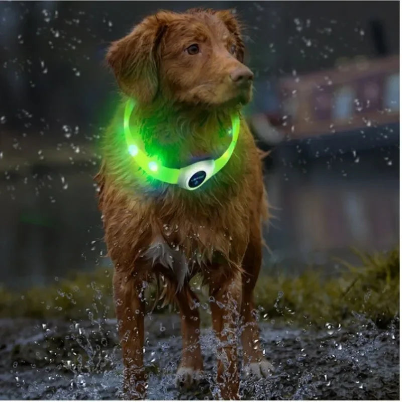 PawTrail Led Luminous Dog Collar PVC Waterproof