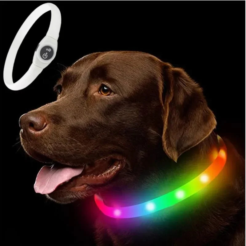 PawTrail Led Luminous Dog Collar PVC Waterproof