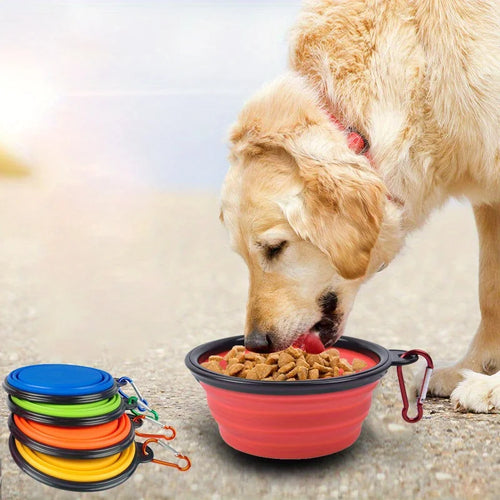PawTrail Collapsible Dog Travel Bowl