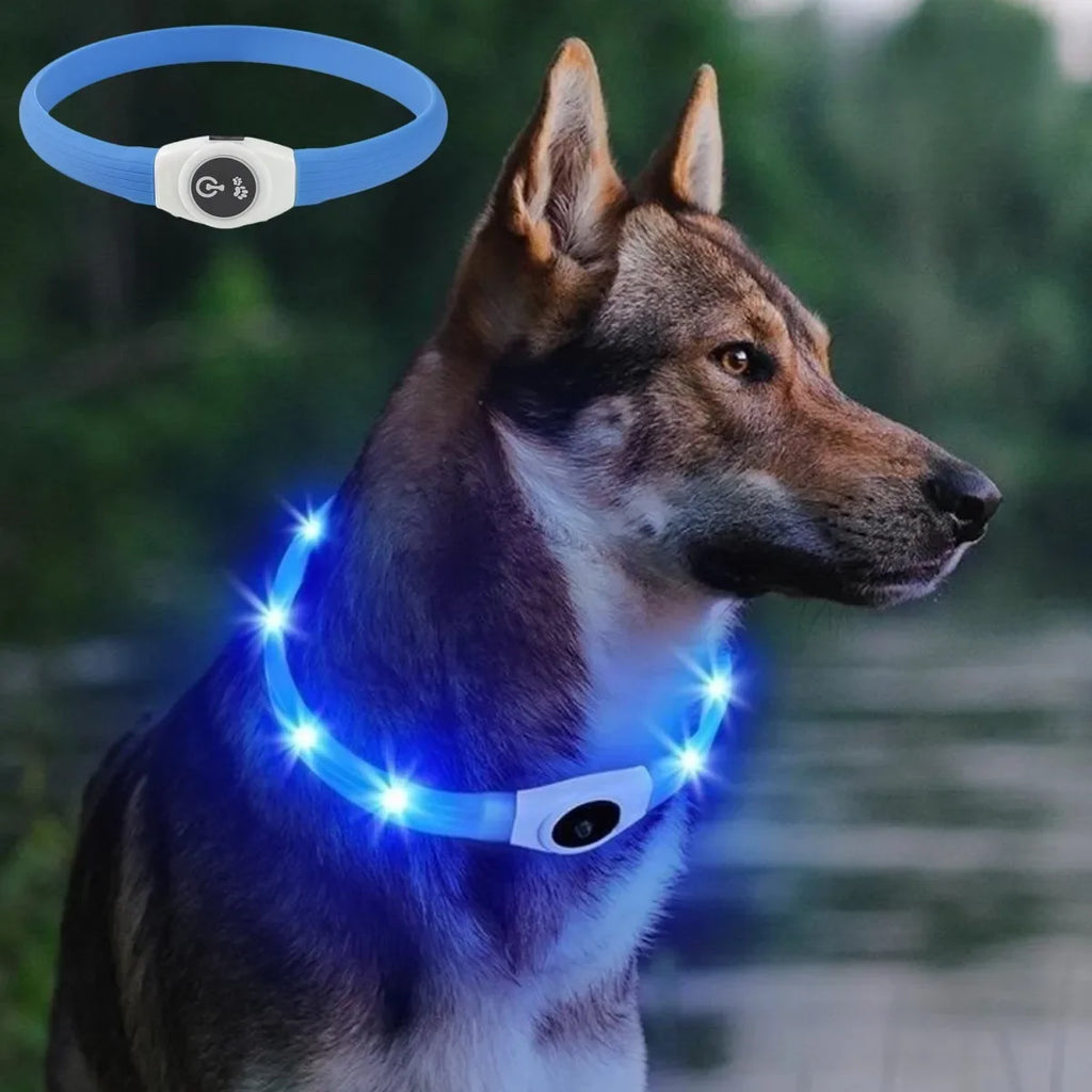 PawTrail Led Luminous Dog Collar PVC Waterproof