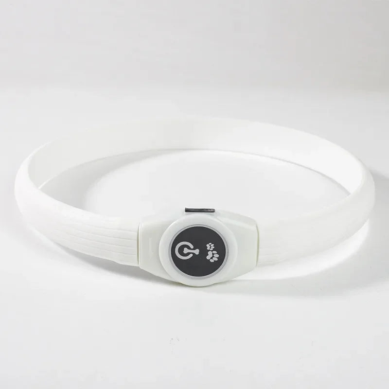 PawTrail Led Luminous Dog Collar PVC Waterproof